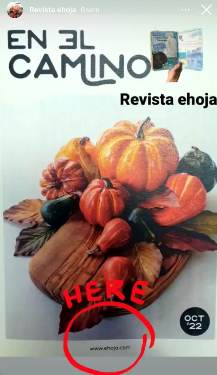 Revista "En el Camino"